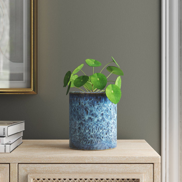 Joss & Main Myers Ceramic Indoor Pot Planter & Reviews Wayfair